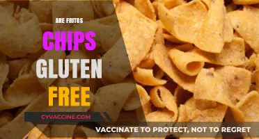 Are Fritos Chips Gluten-Free? A Crunchy Snack Fact Check