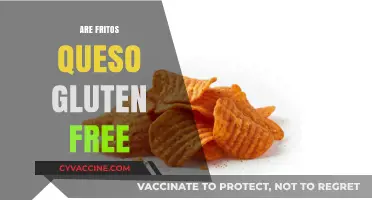 Are Fritos Queso Gluten Free? A Complete Guide for Snack Lovers