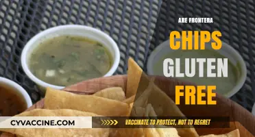 Are Frontera Chips Gluten-Free? A Comprehensive Guide for Snack Lovers