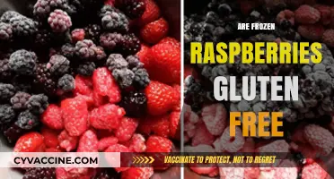 Are Frozen Raspberries Gluten-Free? A Clear and Simple Answer