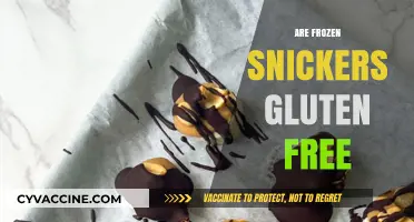 Are Frozen Snickers Gluten-Free? A Sweet Treat Investigation
