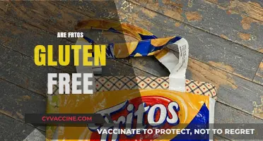 Are Fritos Gluten Free? Uncovering the Truth for Snack Lovers