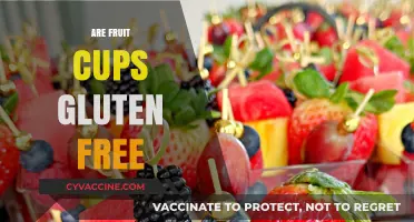 Are Fruit Cups Gluten-Free? A Complete Guide for Celiac Diets