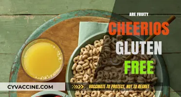 Are Fruity Cheerios Gluten-Free? A Comprehensive Guide for Celiacs