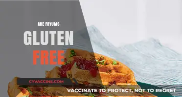 Are Fryums Gluten-Free? A Comprehensive Guide to Your Snack Choice