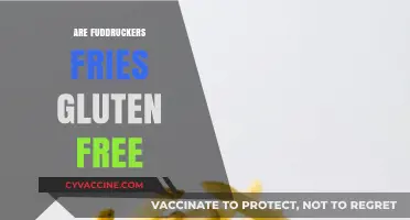 Are Fuddruckers Fries Gluten-Free? A Complete Guide for Celiacs