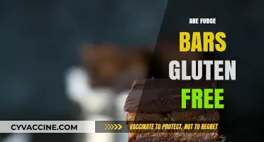 Are Fudge Bars Gluten-Free? A Sweet Treat Guide