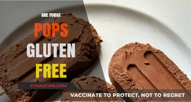 Are Fudge Pops Gluten-Free? A Sweet Treat Investigation