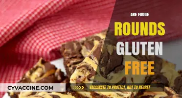 Are Fudge Rounds Gluten-Free? A Sweet Treat Investigation