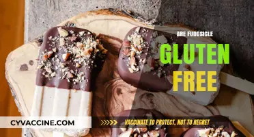 Are Fudgsicles Gluten-Free? A Sweet Treat Investigation