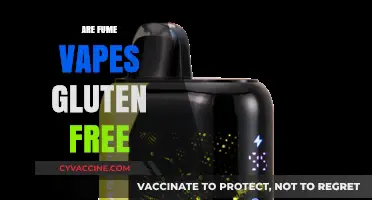 Are Fume Vapes Gluten-Free? Exploring Ingredients and Safety Concerns