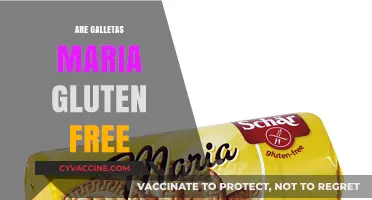 Are Galletas Maria Gluten-Free? Uncovering the Truth About This Snack