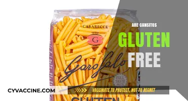 Are Gansitos Gluten-Free? A Complete Guide for Snack Lovers