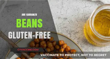 Are Garbanzo Beans Gluten-Free? A Clear Answer for Celiacs
