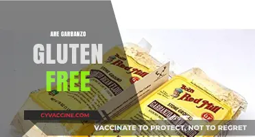 Are Garbanzo Beans Gluten-Free? A Complete Guide for Celiacs
