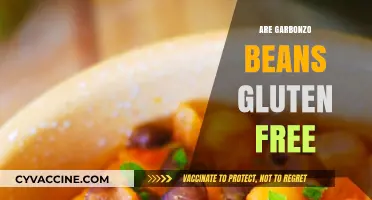 Are Garbonzo Beans Gluten-Free? A Clear Answer for Celiacs