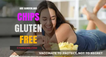 Are Gardenland Chips Gluten-Free? A Snack Lover's Guide