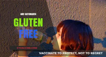 Are Gatorades Gluten-Free? A Complete Guide to Your Favorite Sports Drink