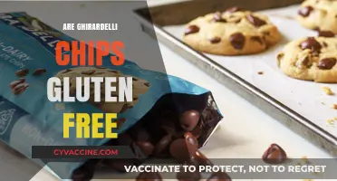 Are Ghirardelli Chocolate Chips Gluten-Free? A Complete Guide