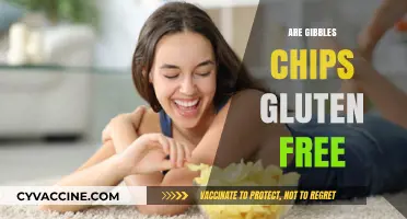 Are Gibbles Chips Gluten-Free? A Crunchy Snack Fact Check
