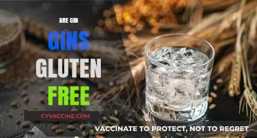 Are Gin Gins Gluten Free? A Comprehensive Guide to Enjoying Them Safely