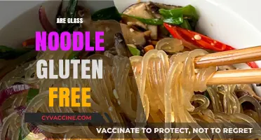 Are Glass Noodles Gluten-Free? A Clear Answer for Celiacs