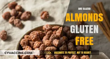 Glazed Almonds and Gluten: A Safe Snack Option?