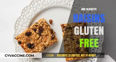 Are Glosette Raisins Gluten-Free? A Complete Guide for Snackers