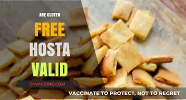 Are Gluten-Free Hosts Valid for Communion? Exploring Catholic Perspectives