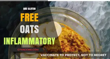 Are Gluten-Free Oats Inflammatory? Uncovering the Truth for Your Diet