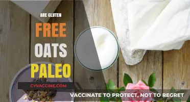 Are Gluten-Free Oats Paleo? Unraveling the Dietary Debate