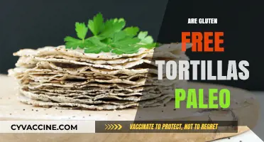 Are Gluten-Free Tortillas Paleo? A Dietary Compatibility Guide