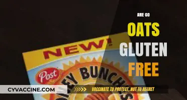 Are Go Oats Gluten-Free? A Clear Answer for Celiac Diets