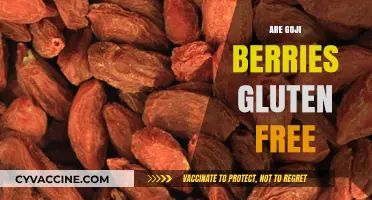 Are Goji Berries Gluten-Free? Uncovering the Truth for Your Diet