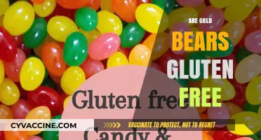 Are Gold Bears Gluten-Free? Unwrapping the Truth About These Treats