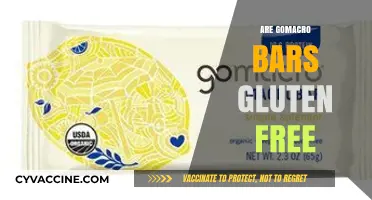 Are GoMacro Bars Gluten-Free? A Complete Guide to Ingredients