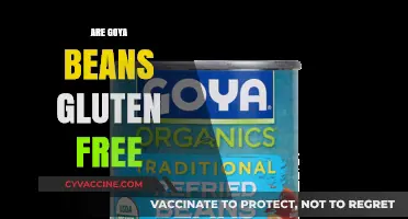 Are Goya Beans Gluten-Free? A Complete Guide for Celiac Diets