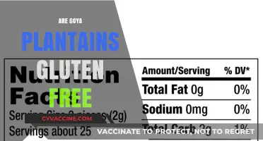 Are Goya Plantains Gluten-Free? A Comprehensive Guide for Celiacs
