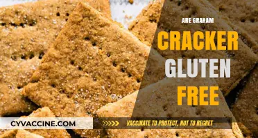 Are Graham Crackers Gluten-Free? A Complete Guide to Your Snack Options