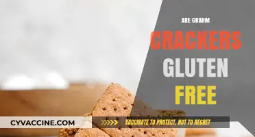 Are Graham Crackers Gluten-Free? Unraveling the Truth for Your Diet
