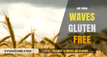 Are Grain Waves Gluten-Free? Unraveling the Snack's Ingredients