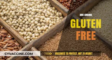 Are Grains Gluten-Free? Unraveling the Truth for a Healthy Diet