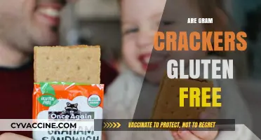 Are Gram Crackers Gluten-Free? Unraveling the Truth for Your Diet