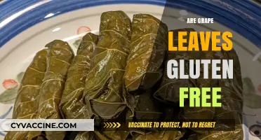 Are Grape Leaves Gluten-Free? A Comprehensive Guide for Dieters