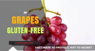 Are Grapes Gluten-Free? A Clear Answer for Celiac Diets