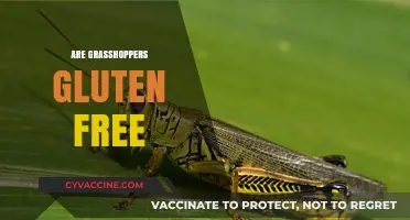 Are Grasshoppers Gluten-Free? Exploring Edible Insects and Dietary Restrictions