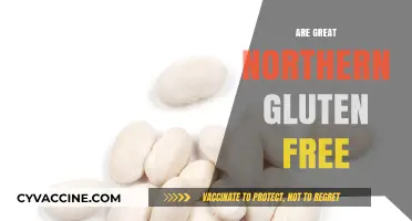 Are Great Northern Beans Gluten-Free? A Complete Nutritional Guide