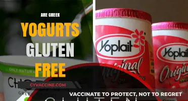 Is Greek Yogurt Gluten-Free? A Complete Guide for Celiacs