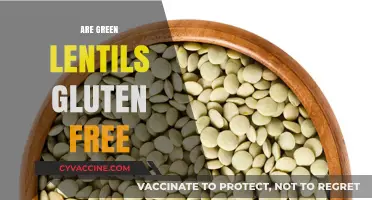 Are Green Lentils Gluten-Free? A Clear Answer for Your Diet