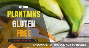 Are Green Plantains Gluten-Free? A Complete Guide for Celiac Diets
